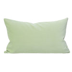Pale Green Velvet (Last Chance)