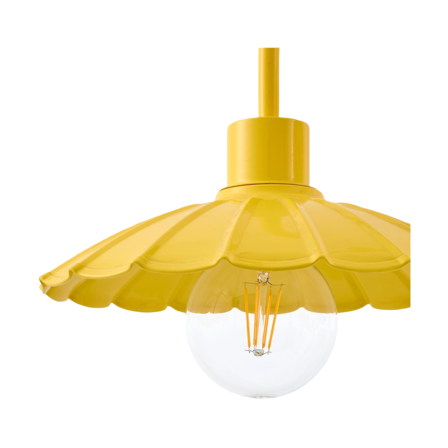 Pavona Wall Sconce