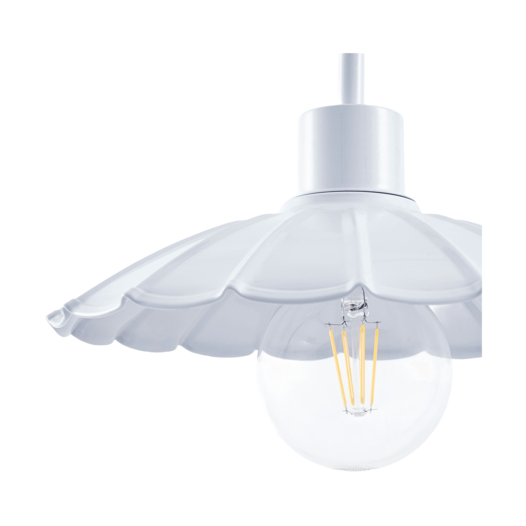 Pavona Wall Sconce