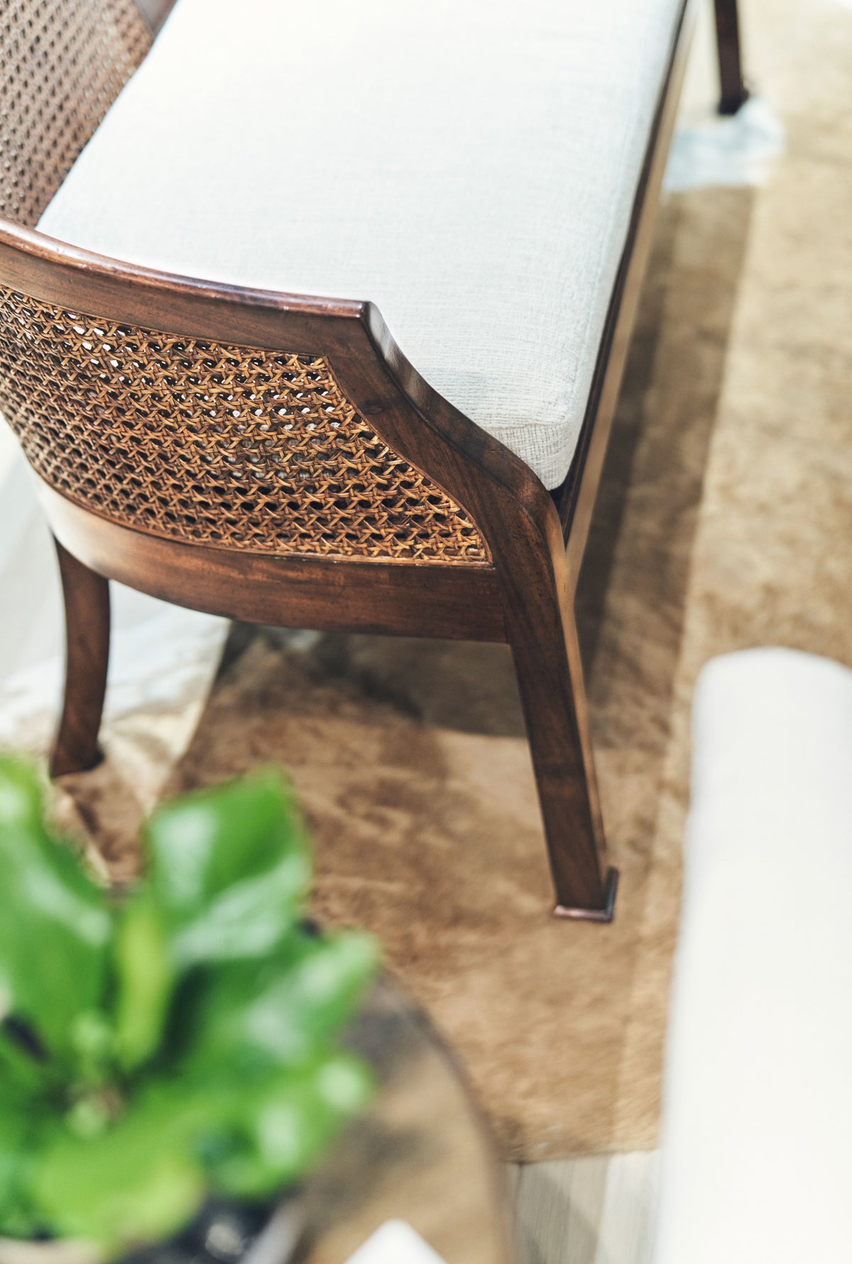 Walnut Cane Back Salon Settee