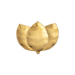 Hornbeam Leaf Botanica