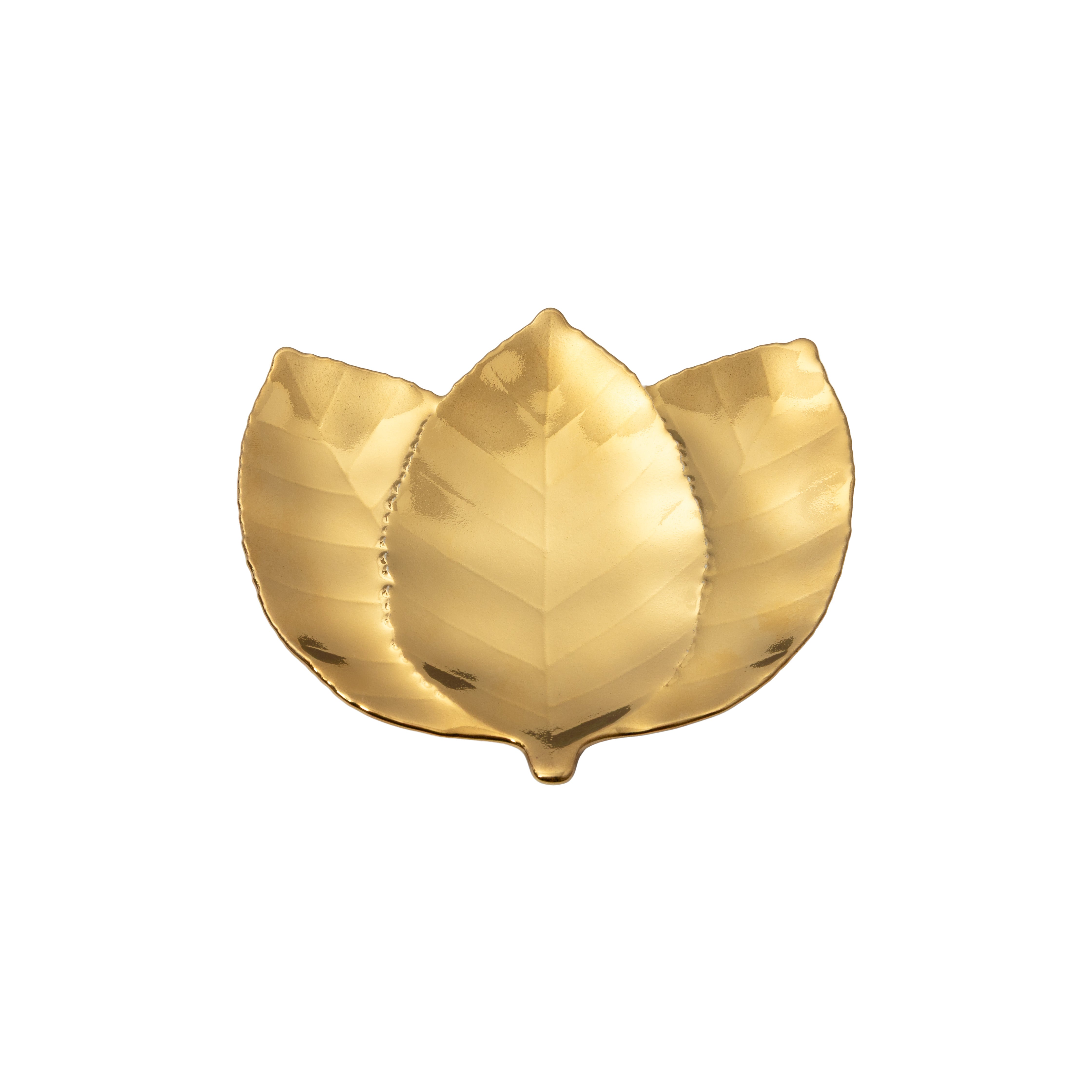 Hornbeam Leaf Botanica