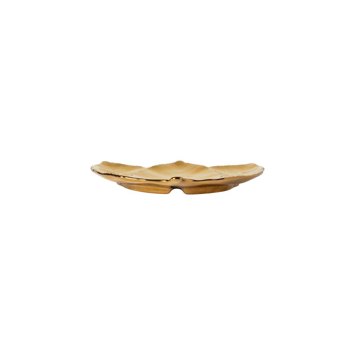 Hornbeam Leaf Botanica