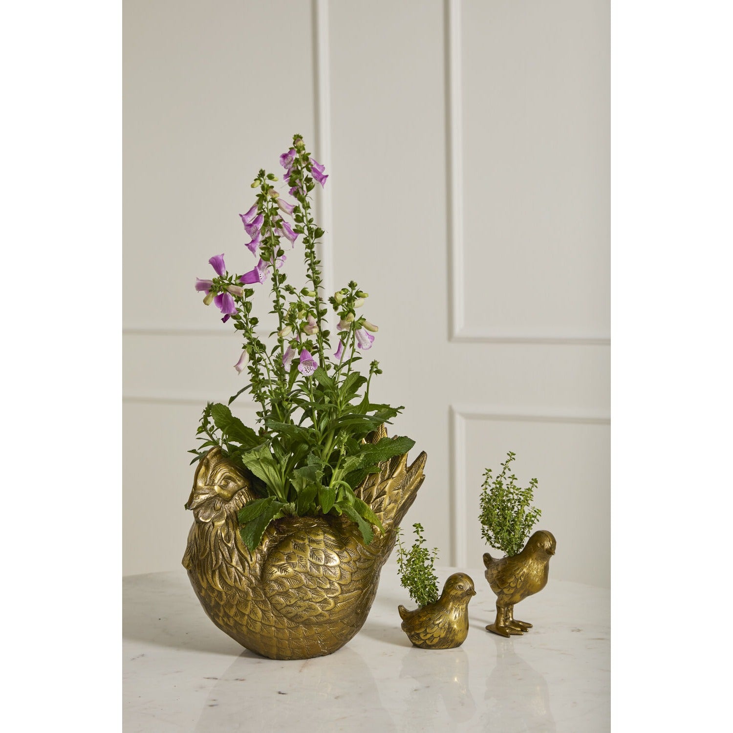 Spring Roost Collection