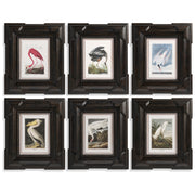 Audubon Birds, Set of 6