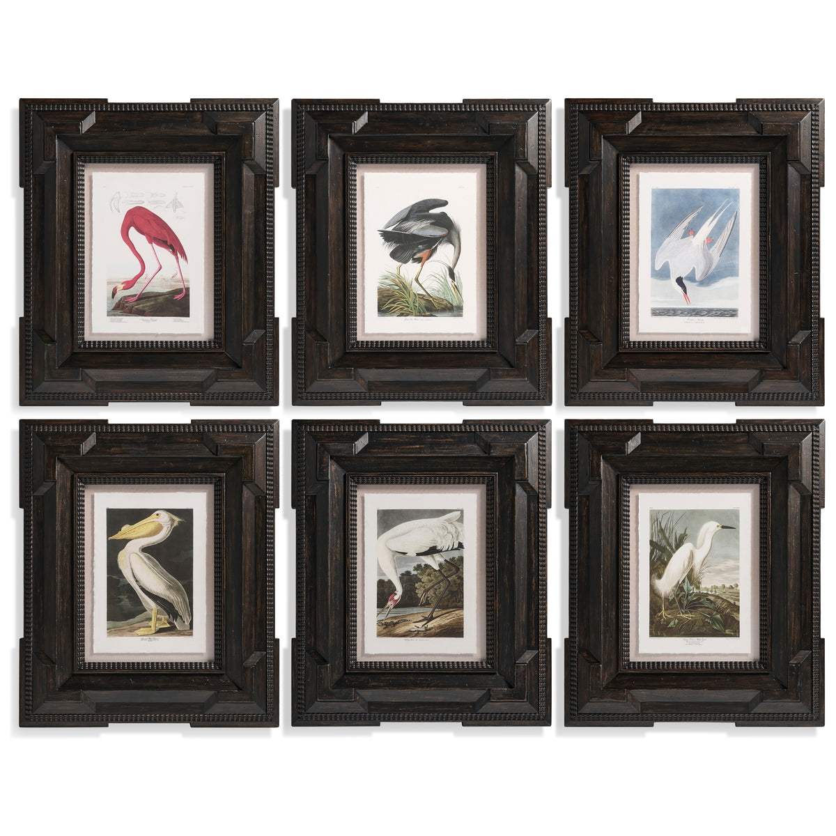 Audubon Birds, Set of 6