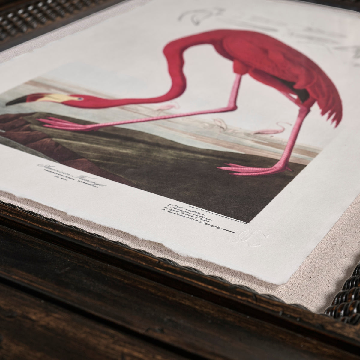 Audubon Birds, Set of 6