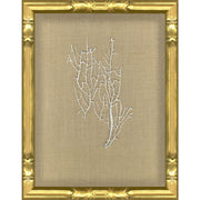 Hand Painted Seafan Specimens Series 2, 2