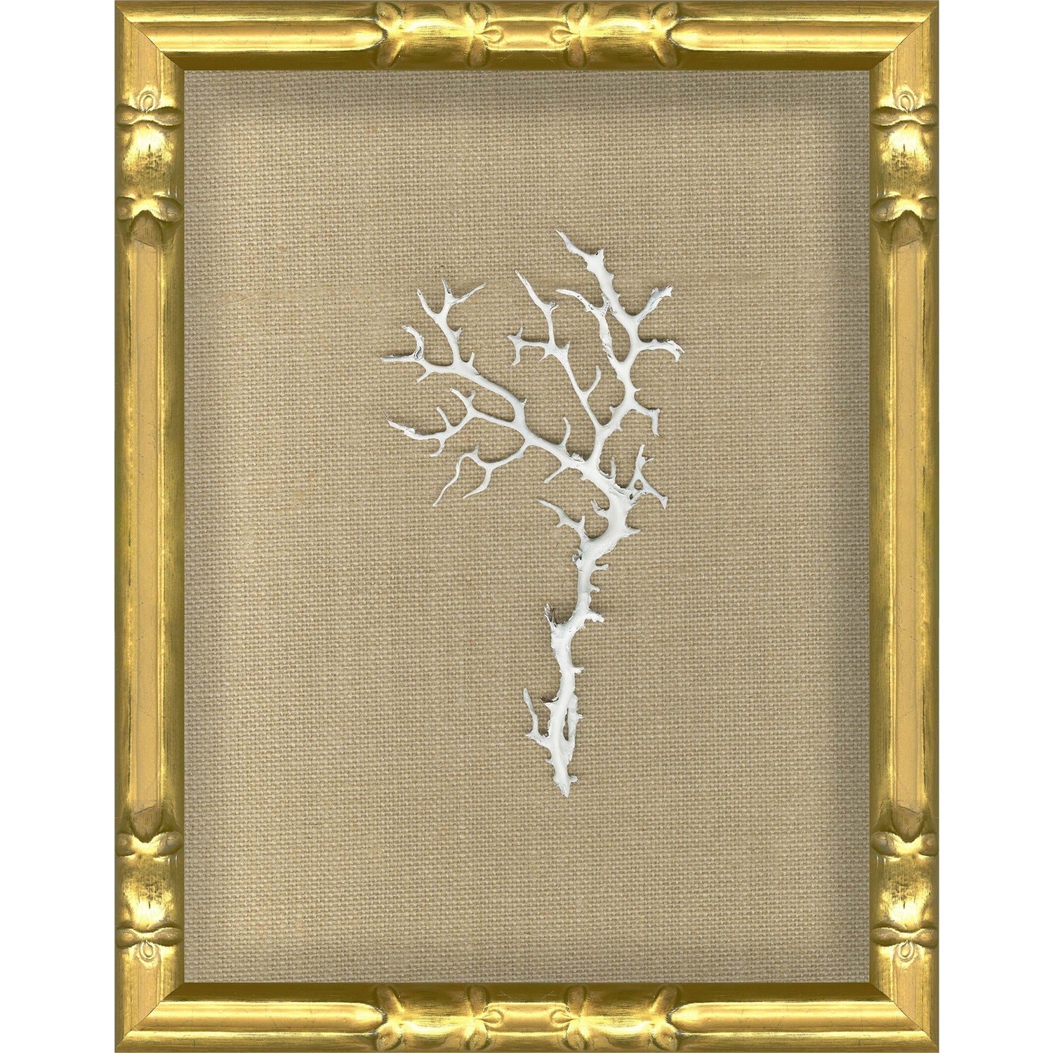 Hand Painted Seafan Specimens Series 2, 4