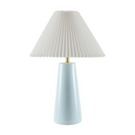 Vikundu Accent Table Lamp