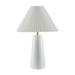 Vikundu Accent Table Lamp