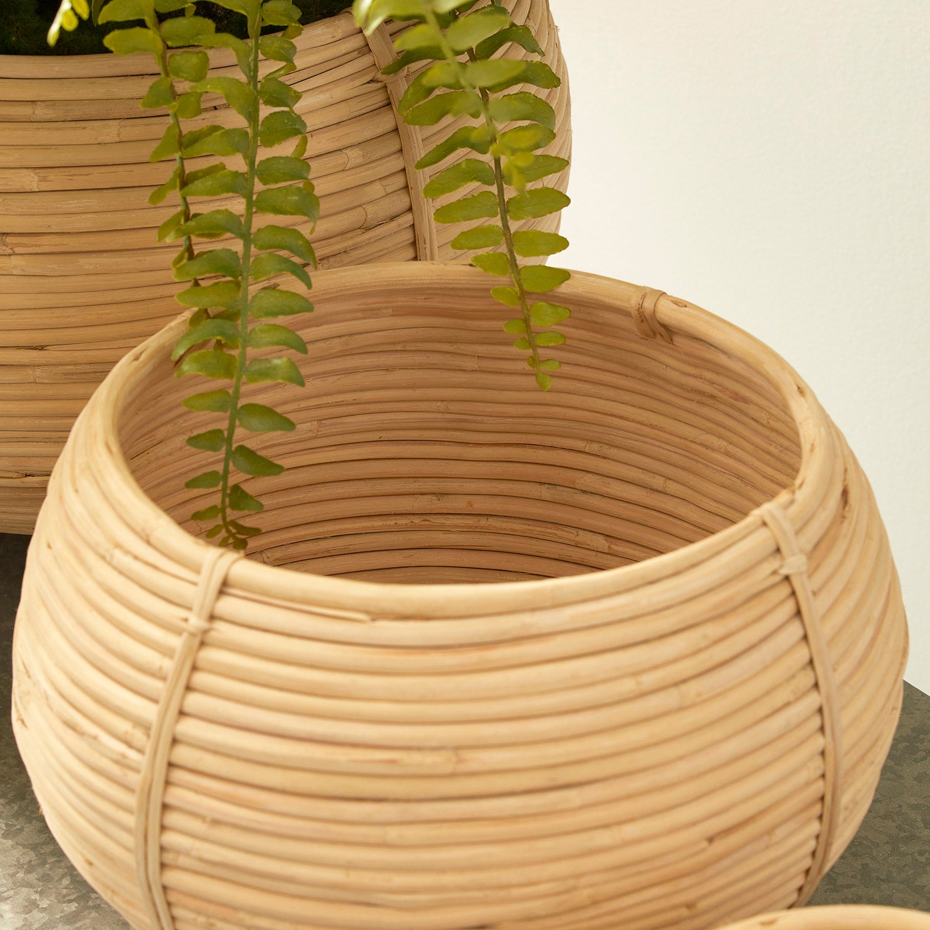 CANE RATTAN PLANT BASKETS, SET OF 3