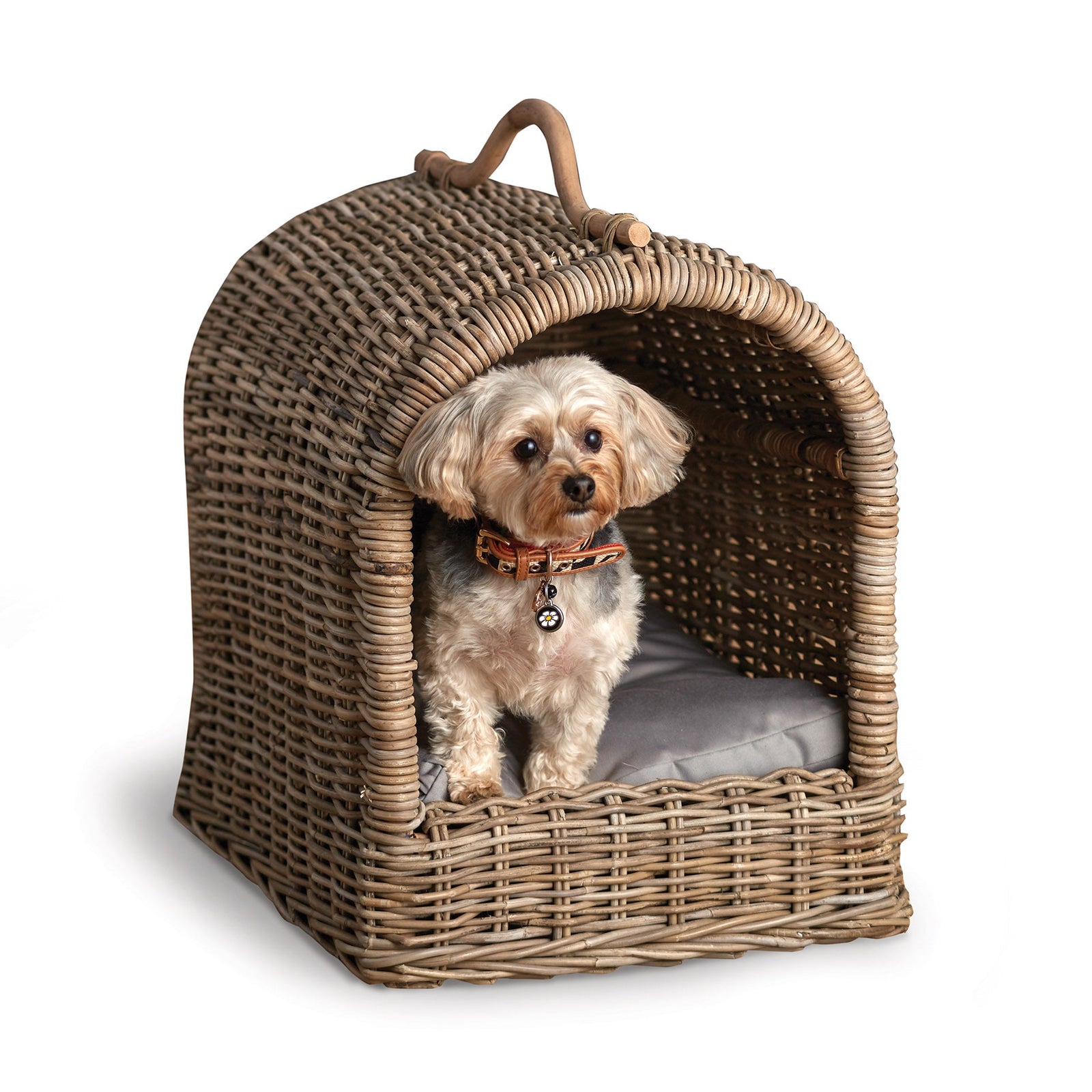 Avery Canopy Pet Bed