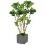 FIDDLE LEAF FIG TREE - MED (GREEN/GREY)