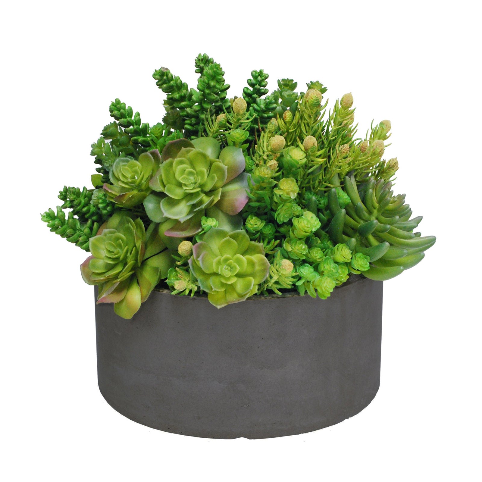 SUCCULENT TALL GARDEN PLANTER LG 14 (GREEN/GREY)