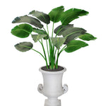 TRAVELERS PALM IN URN S 5' (GREEN TAUPE)