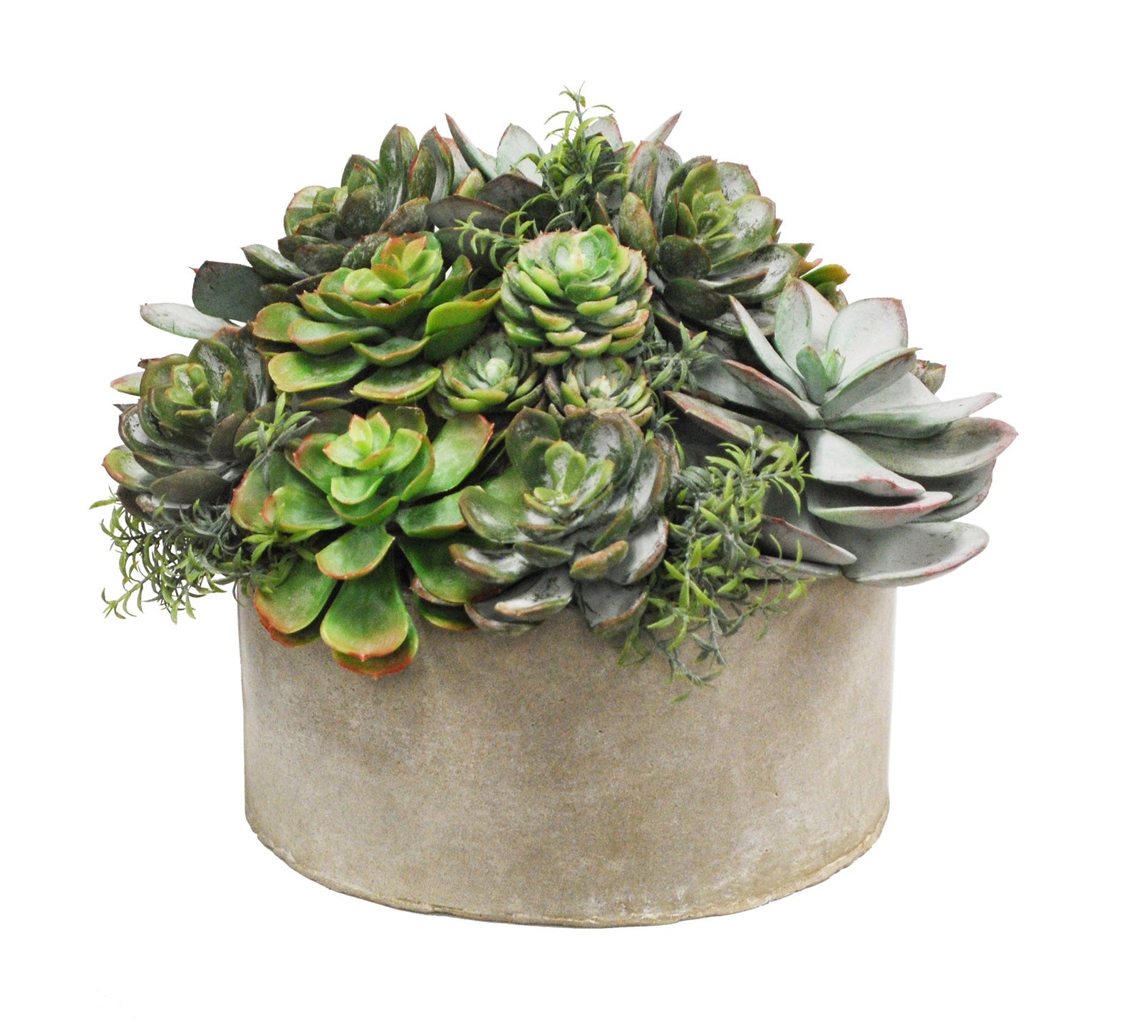 MIX SUCCULENT GARDEN PLANTER (GREEN TAUPE)