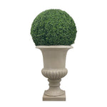 BOXWOOD IN URN 50'' (GREEN)