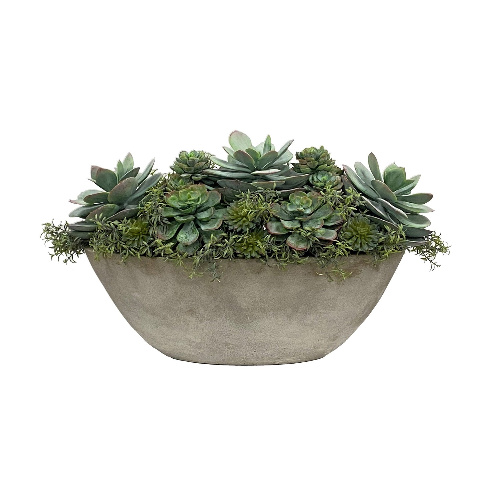 SUCCULENT IN OVAL PLANTER 24''W (GREEN TAUPE)