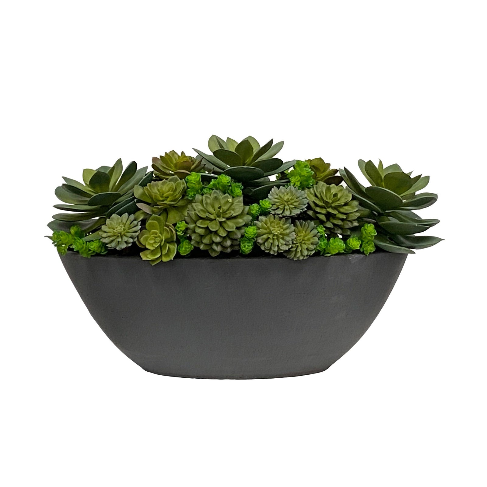 SUCCULENT IN OVAL PLANTER 24''W (NEW COLOR)